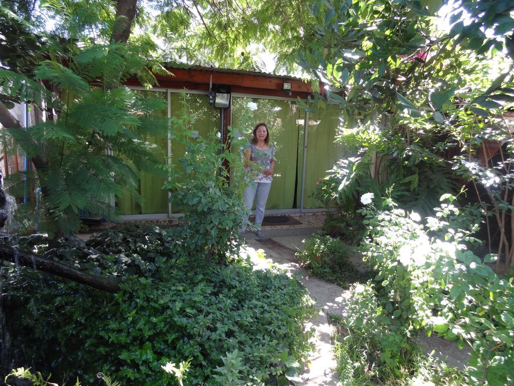 Hostal Vida 2000 Santa Cruz Exterior photo